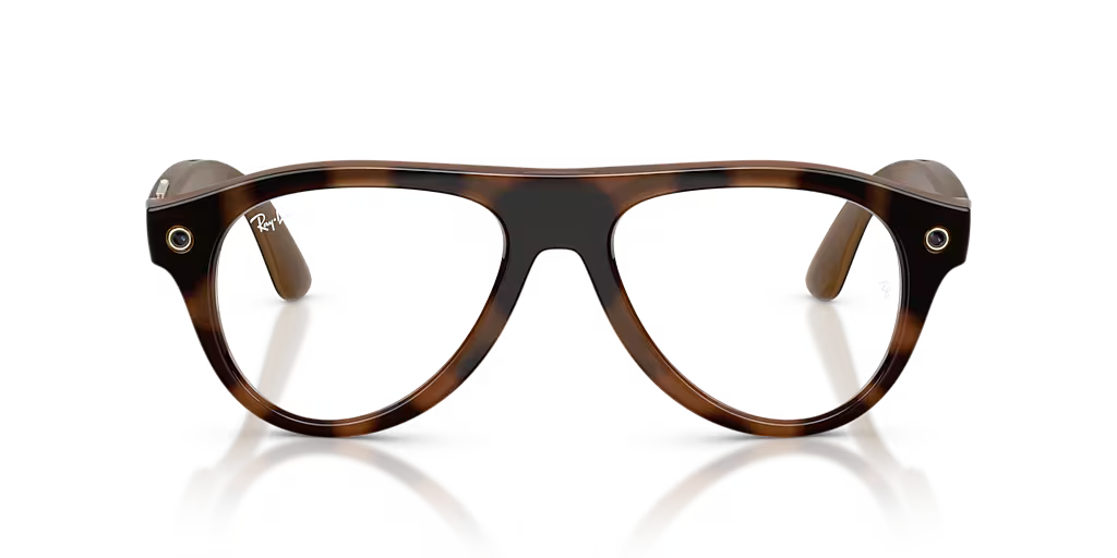 RW4016 Tortoise/Clear/Brown L
