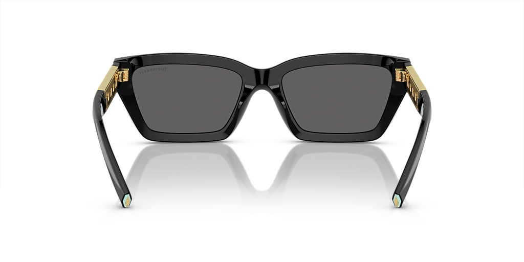 TF4213 Tiffany & Co. Black/Grey S
