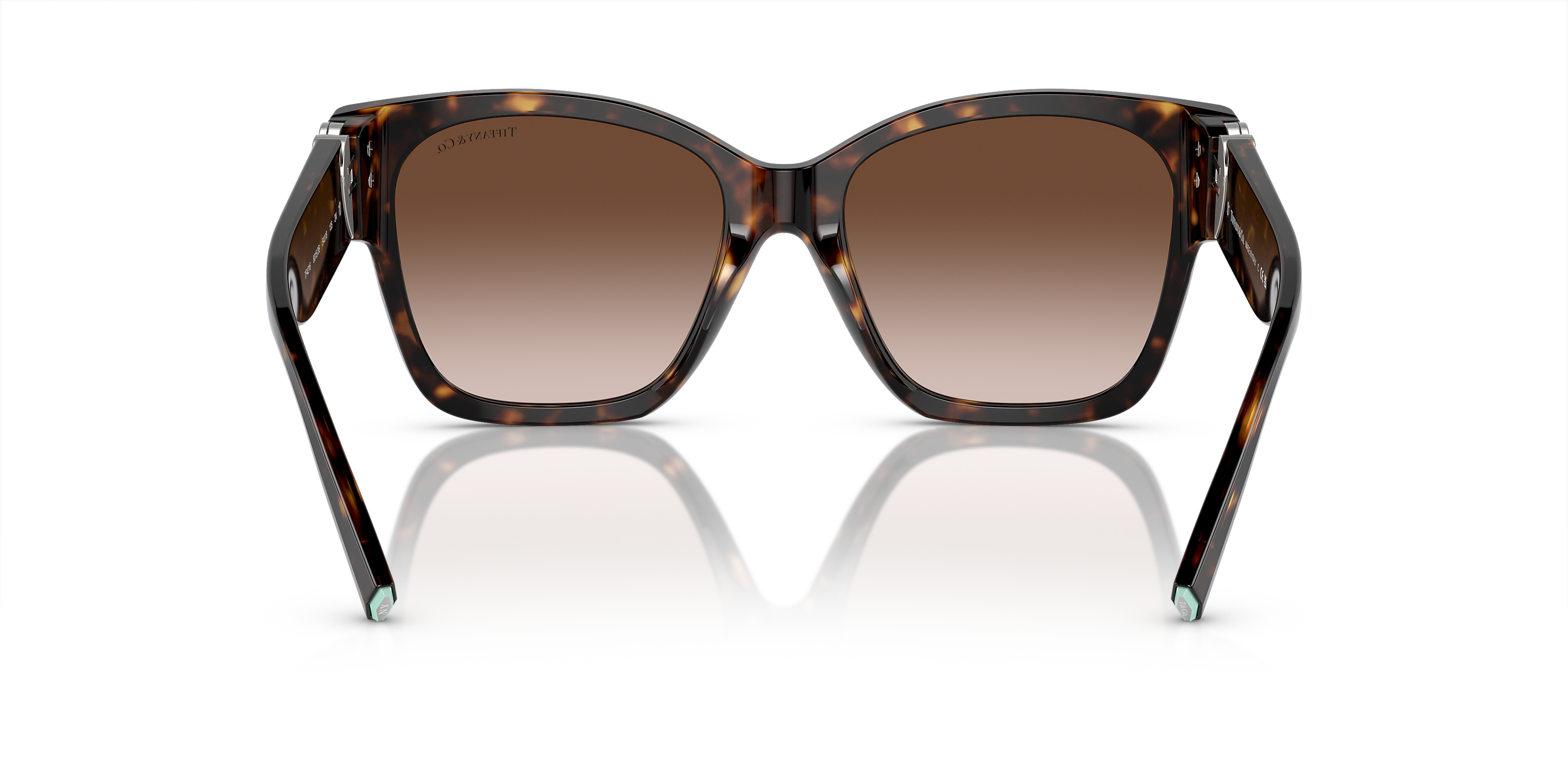 TF4216 Tortoise/Brown Gradient XL