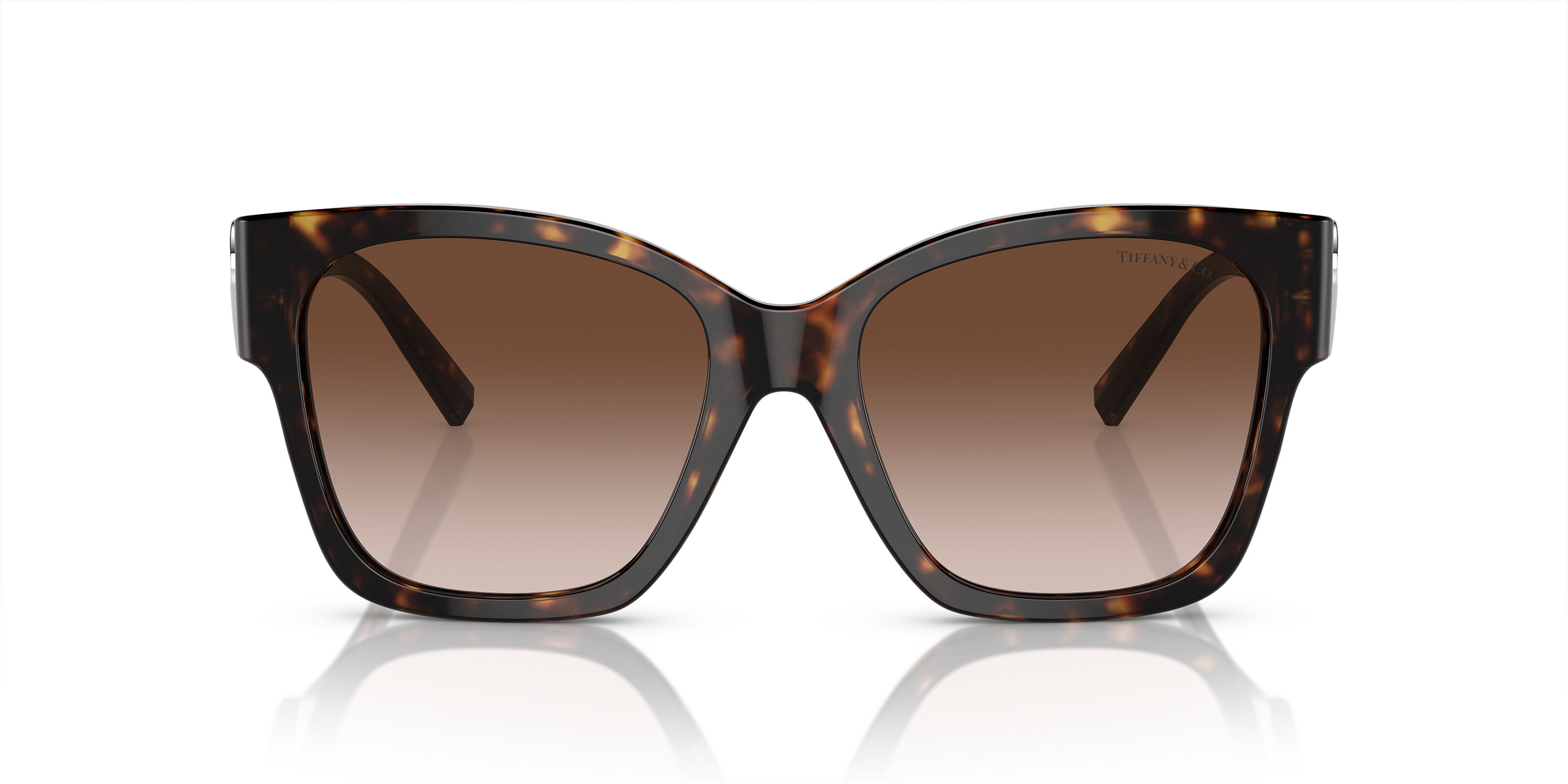 TF4216 Tortoise/Brown Gradient XL