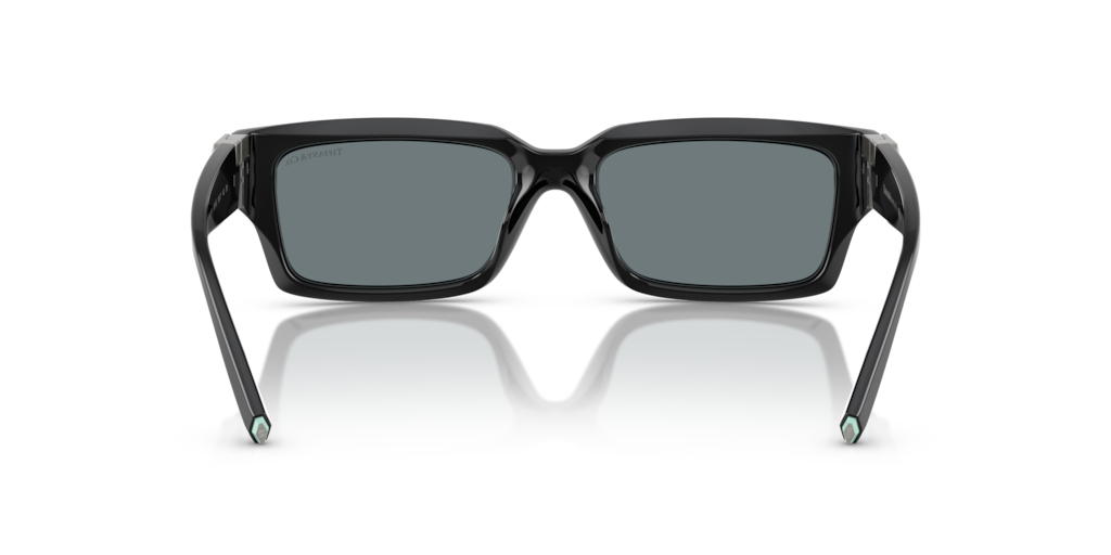 TF4226U Tiffany & Co. Black/Grey XXL