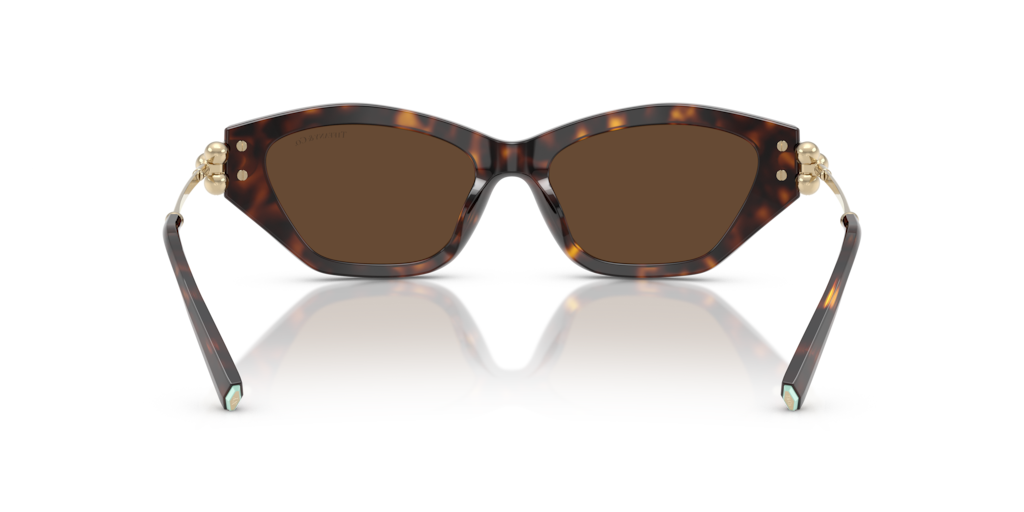 TF4231U Tiffany & Co. Havana/Brown XL