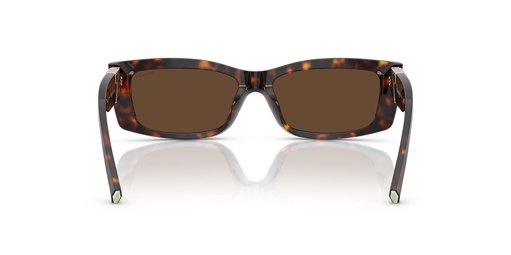 TF4240U Tiffany & Co. Tortoise/Brown M