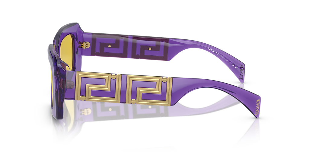 VE4444U Versace Violet/Silver L