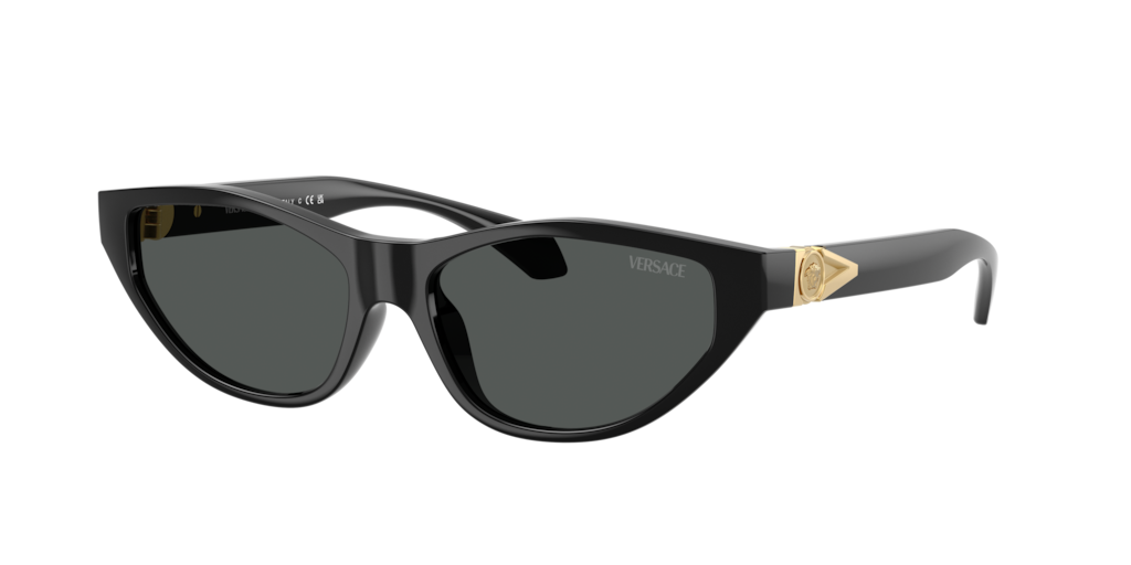 VE4491U Versace Black/Grey L