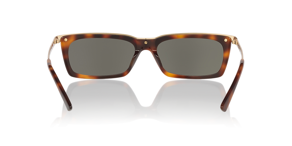 SL 766 Saint Laurent Tortoise/Grey L