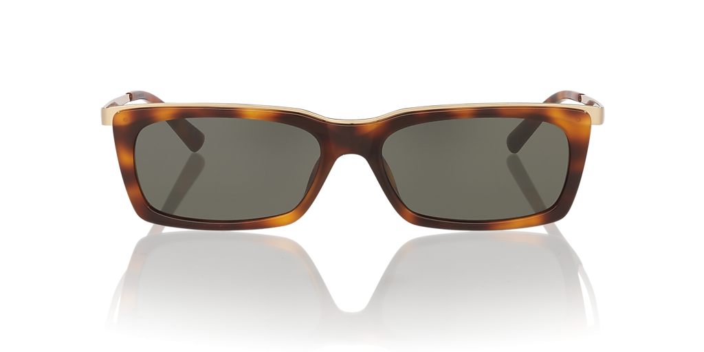SL 766 Saint Laurent Tortoise/Grey L