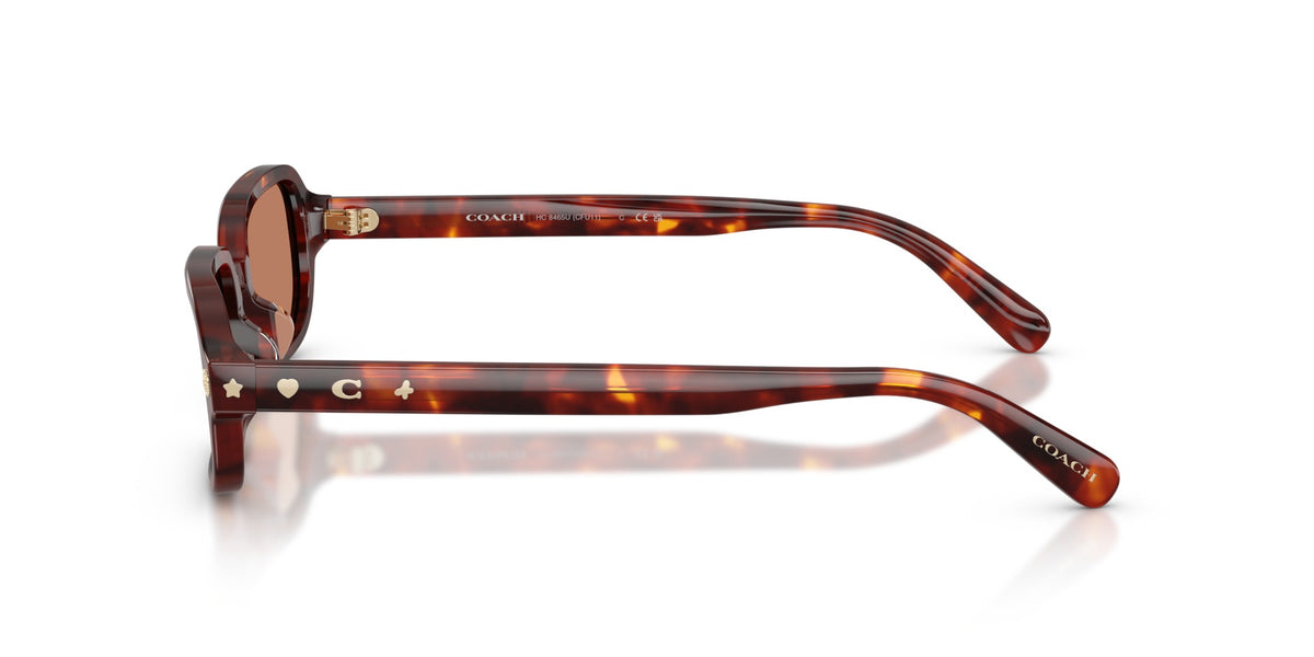 CFU11 Coach Tortoise/Brown S