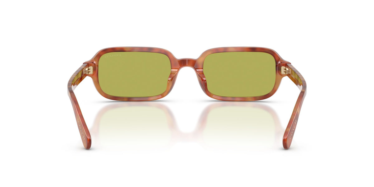 CFU11 Coach Tortoise/Green S