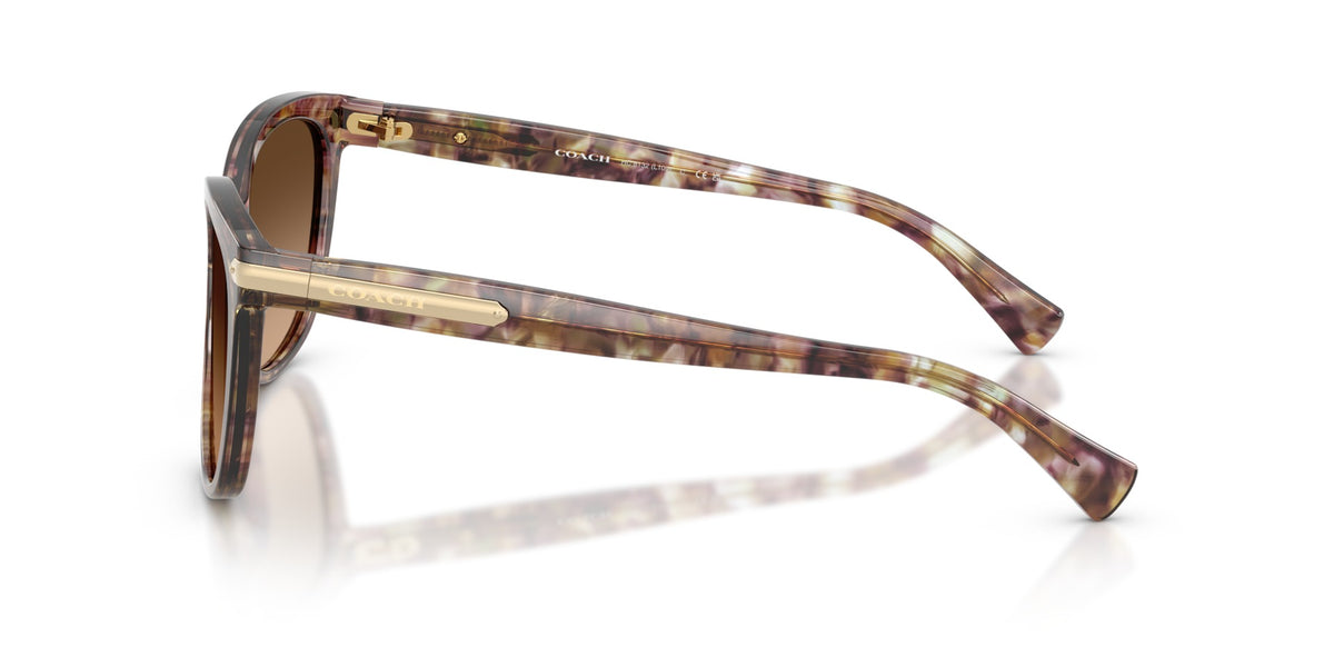 L109 Coach Tortoise/Brown L