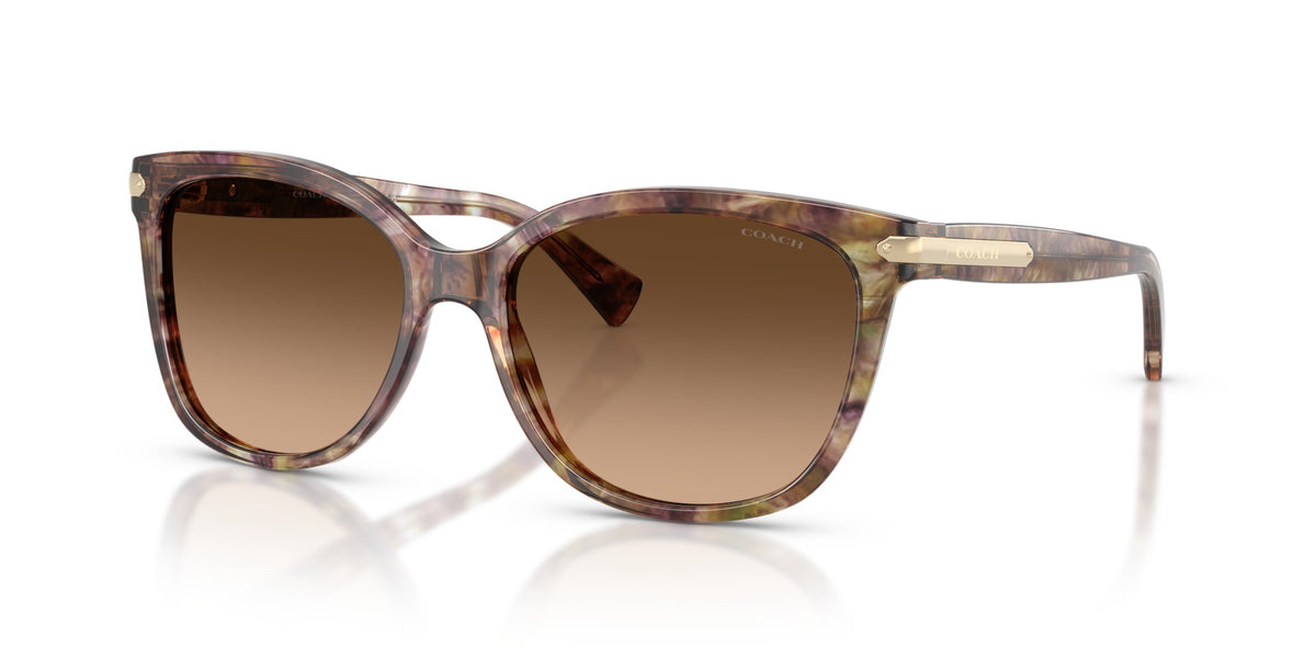 L109 Coach Tortoise/Brown L