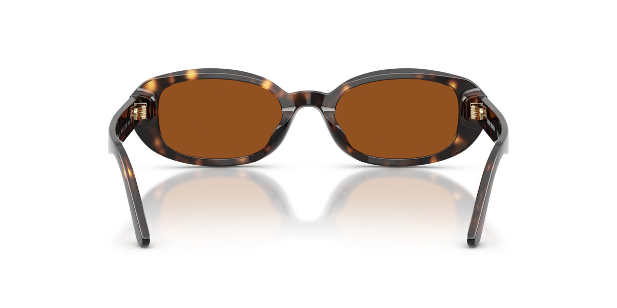 TY7241D TORY BURCH Tortoise/Brown M