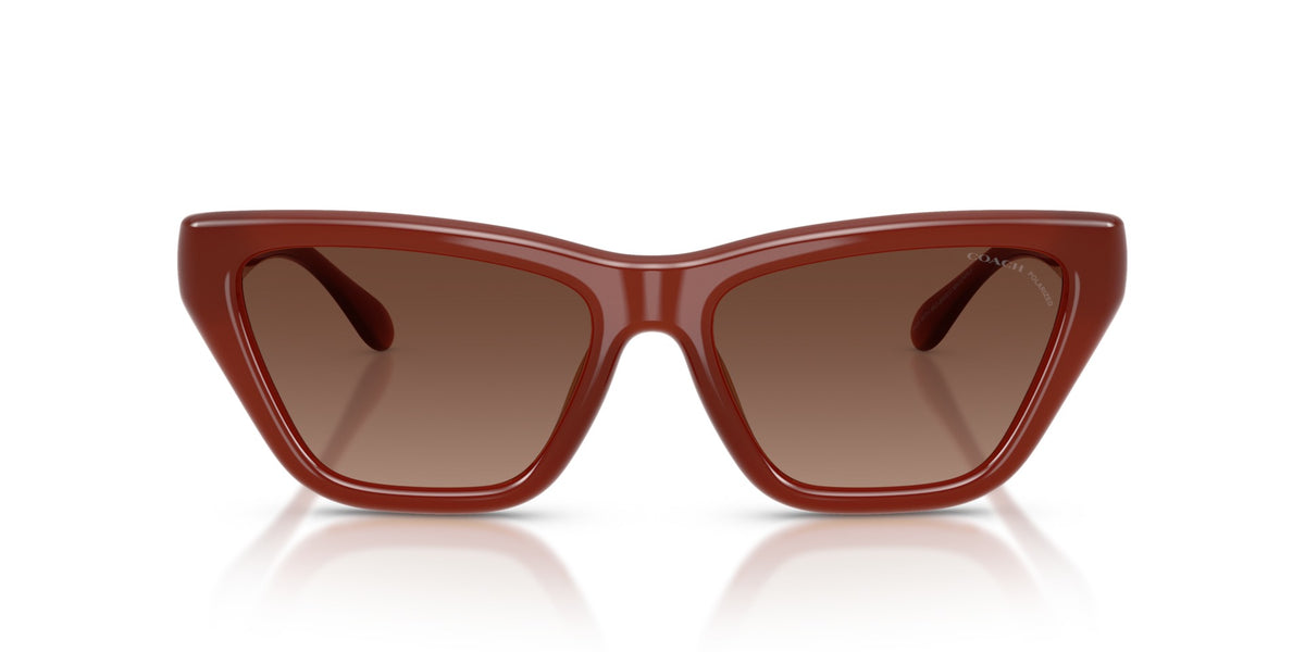 CDP33 Coach Brown/Brown L