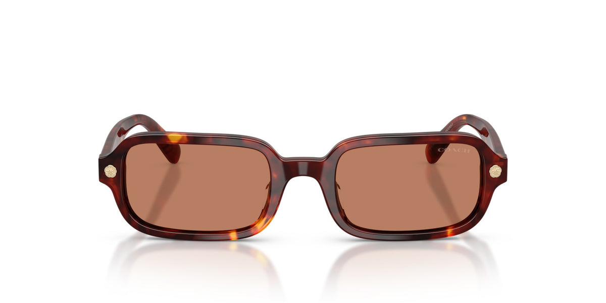 CFU11 Coach Tortoise/Brown S