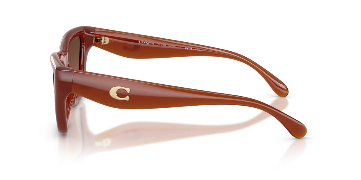 CDP33 Coach Brown/Brown L