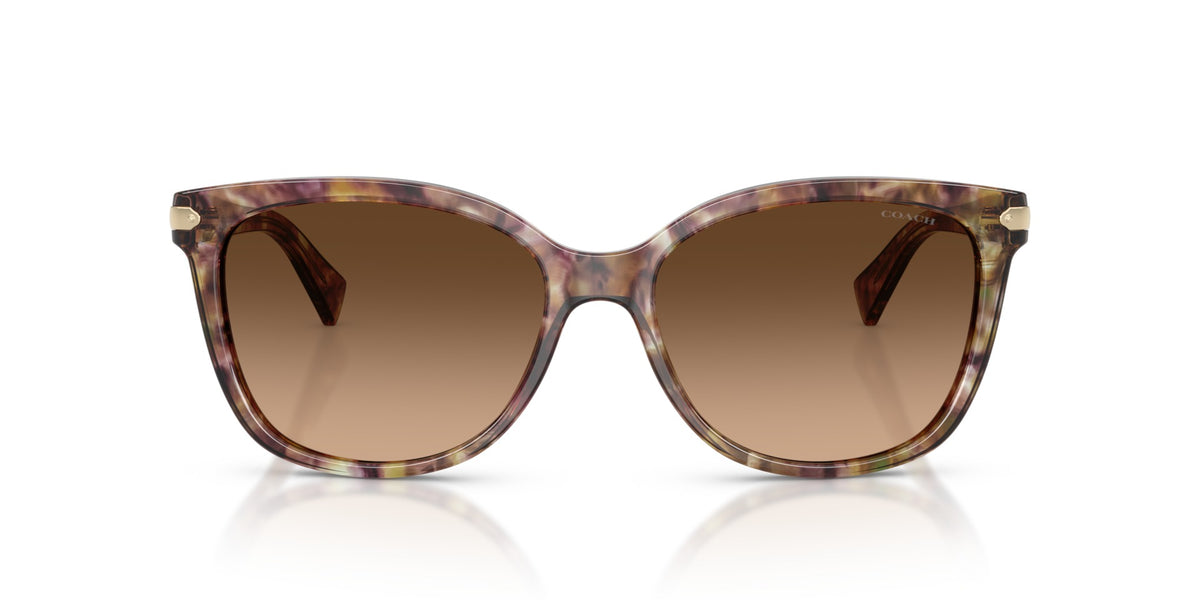 L109 Coach Tortoise/Brown L