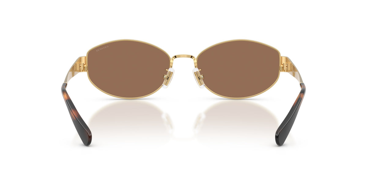CDP44 Coach Gold/Brown XL