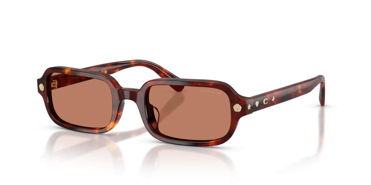 CFU11 Coach Tortoise/Brown S
