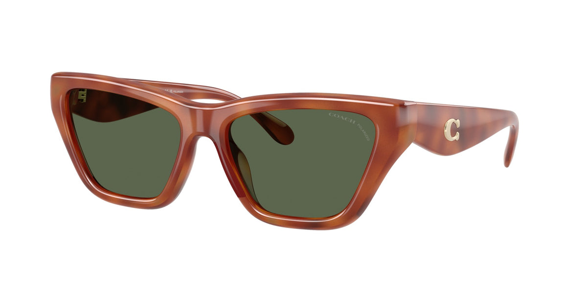 CDP33 Coach Caramel Tortoise/Green Solid Polarized L