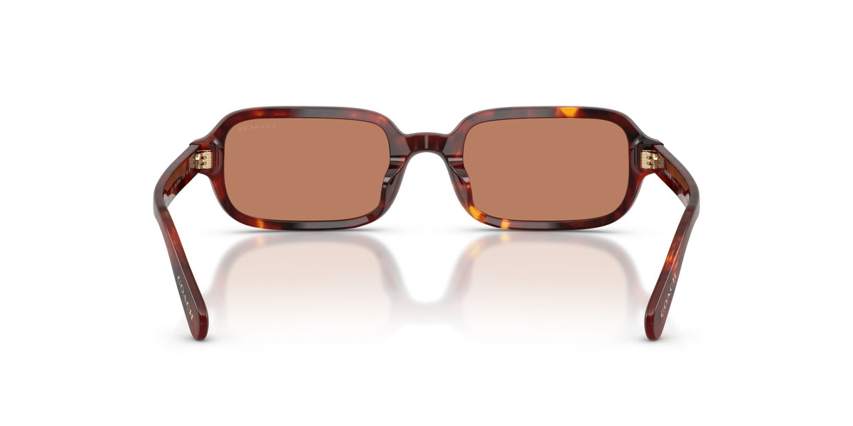 CFU11 Coach Tortoise/Brown S