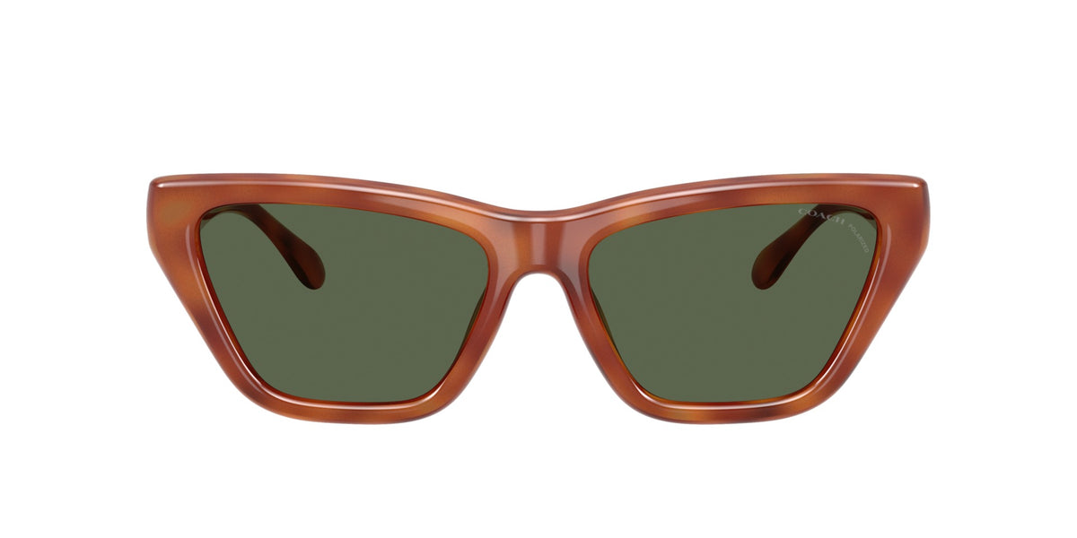 CDP33 Coach Caramel Tortoise/Green Solid Polarized L