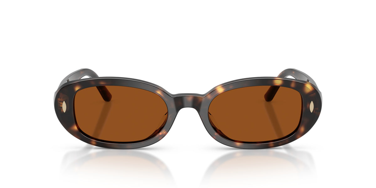 TY7241D TORY BURCH Tortoise/Brown M