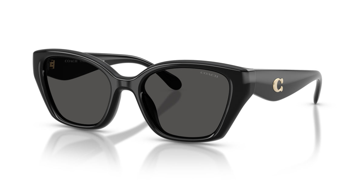 CBY91 Coach Black/Grey M