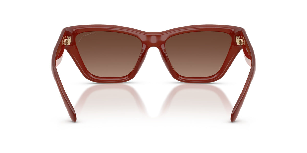 CDP33 Coach Brown/Brown L
