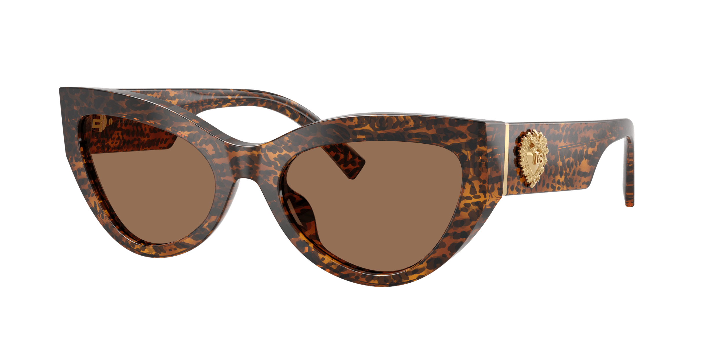 DG4536 DOLCE & GABBANA Leo Transparent/Dark Brown L