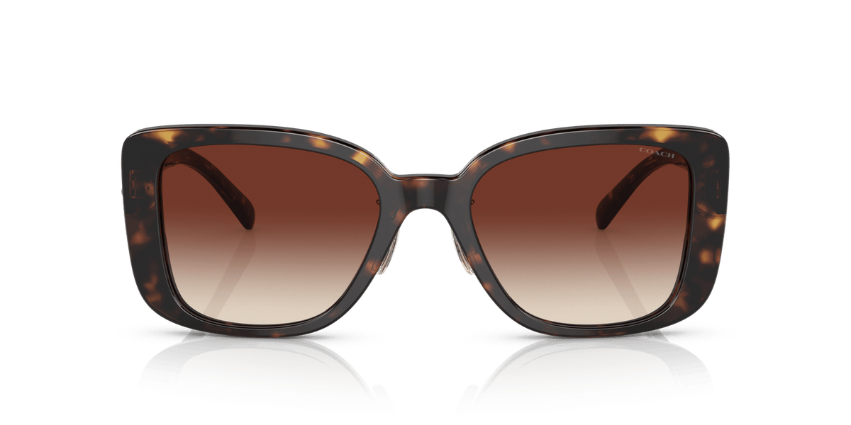 CD472 Coach Tortoise/Brown L