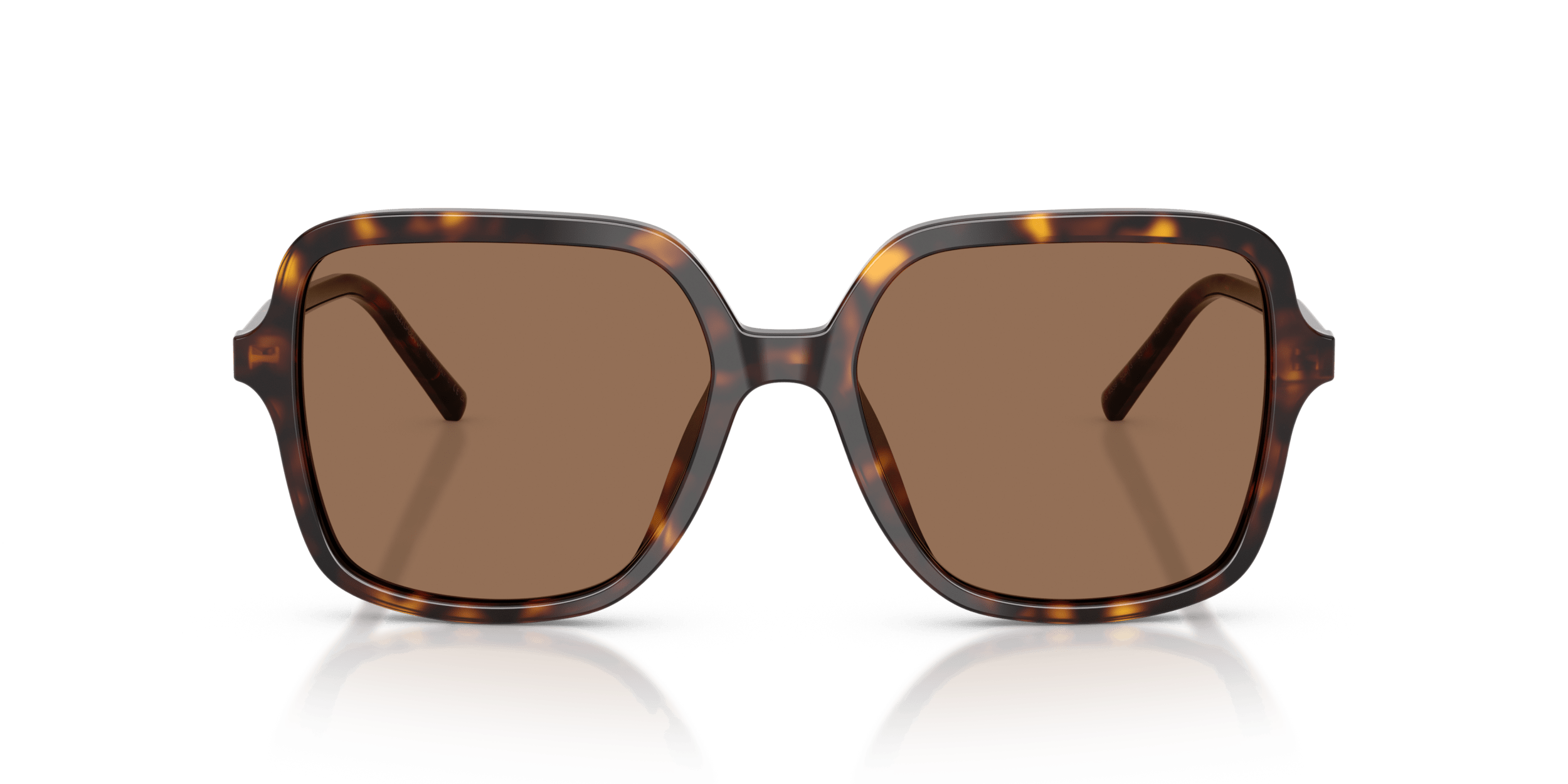 DG4539 DOLCE & GABBANA Tortoise/Brown L