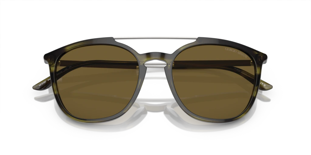 AR 8198 Giorgio Armani Green/Brown L