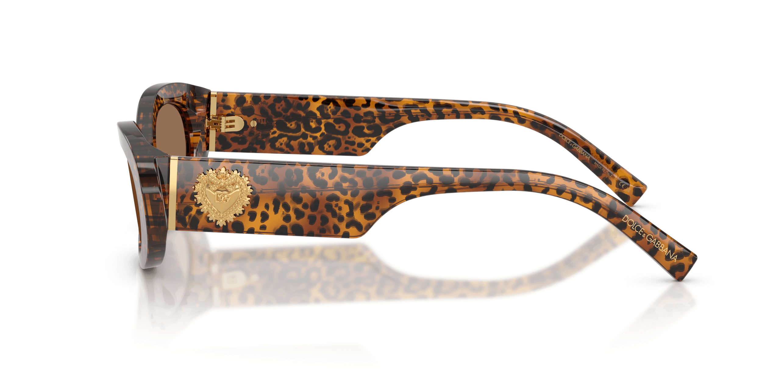 DG4537 DOLCE & GABBANA Brown/Brown S