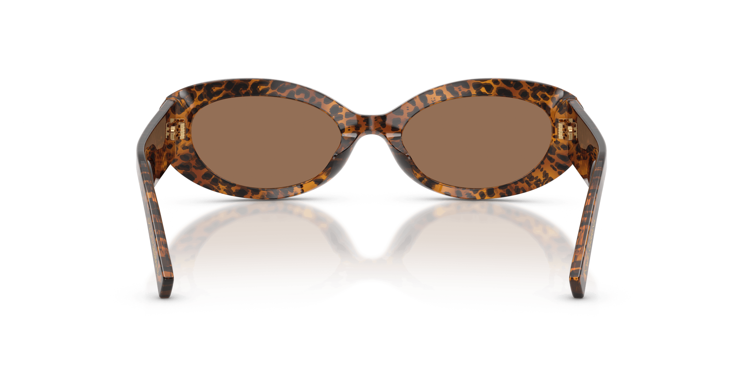 DG4537 DOLCE & GABBANA Brown/Brown S