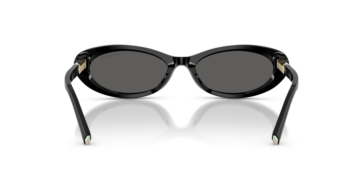 TF4250 TIFFANY Black/Grey L