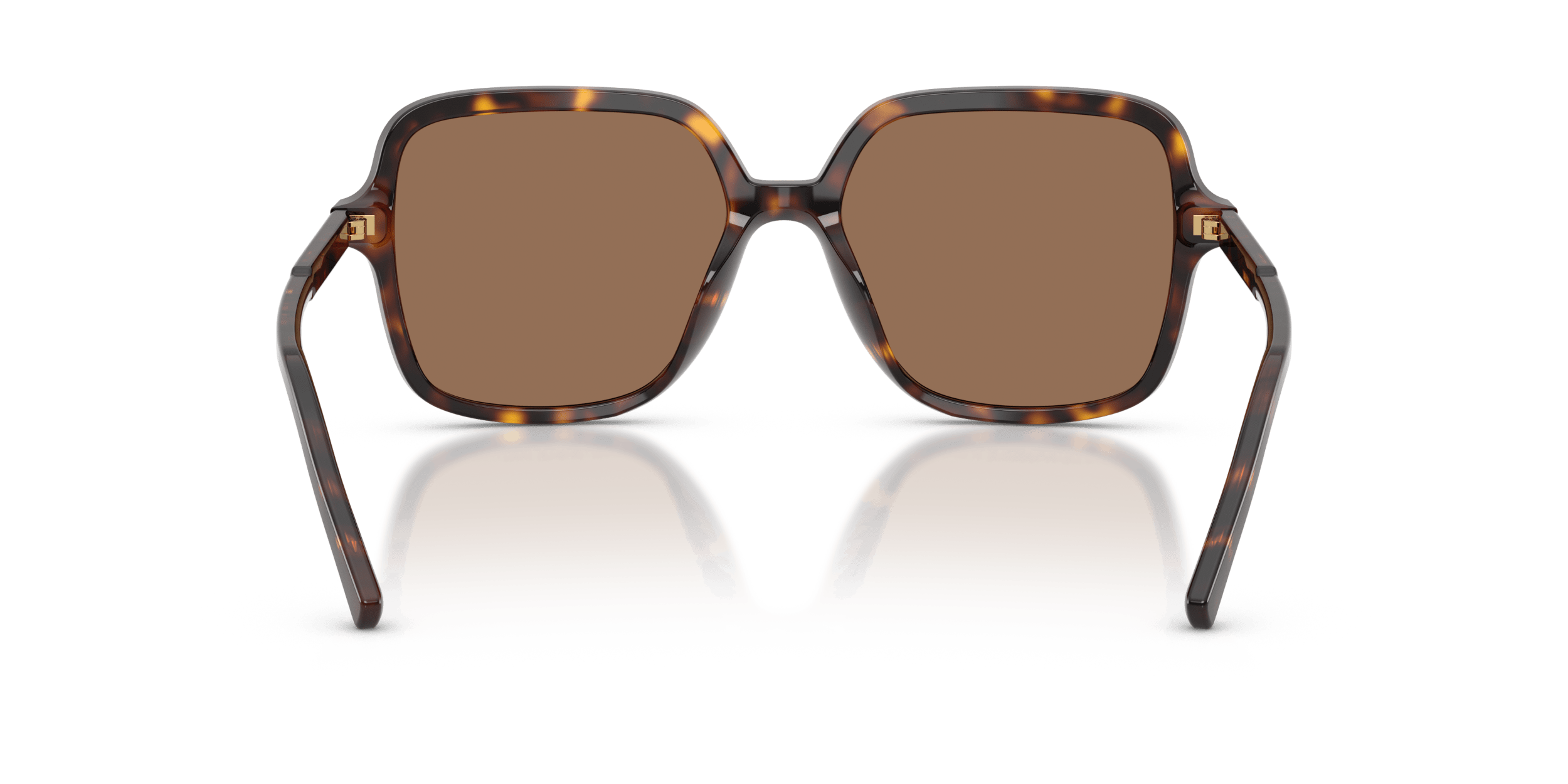 DG4539 DOLCE & GABBANA Tortoise/Brown L