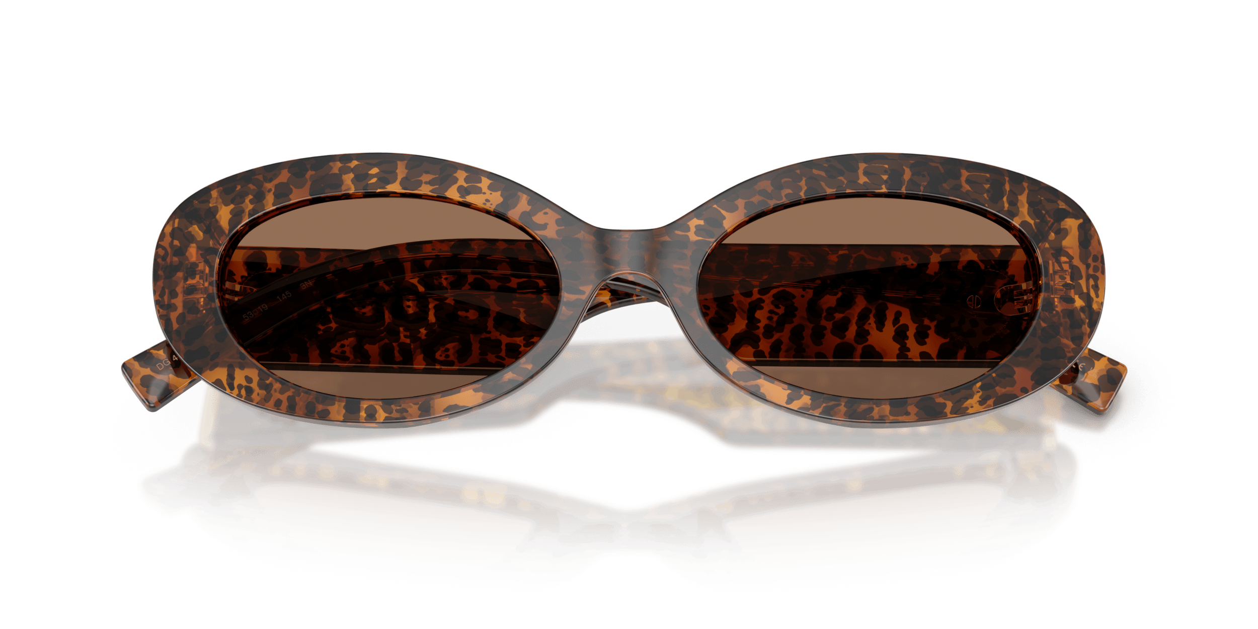 DG4537 DOLCE & GABBANA Brown/Brown S