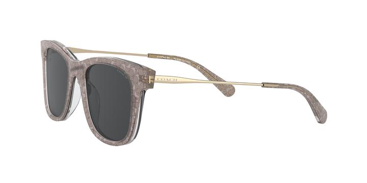 HC8290?558887?Coach Grey/Grey
