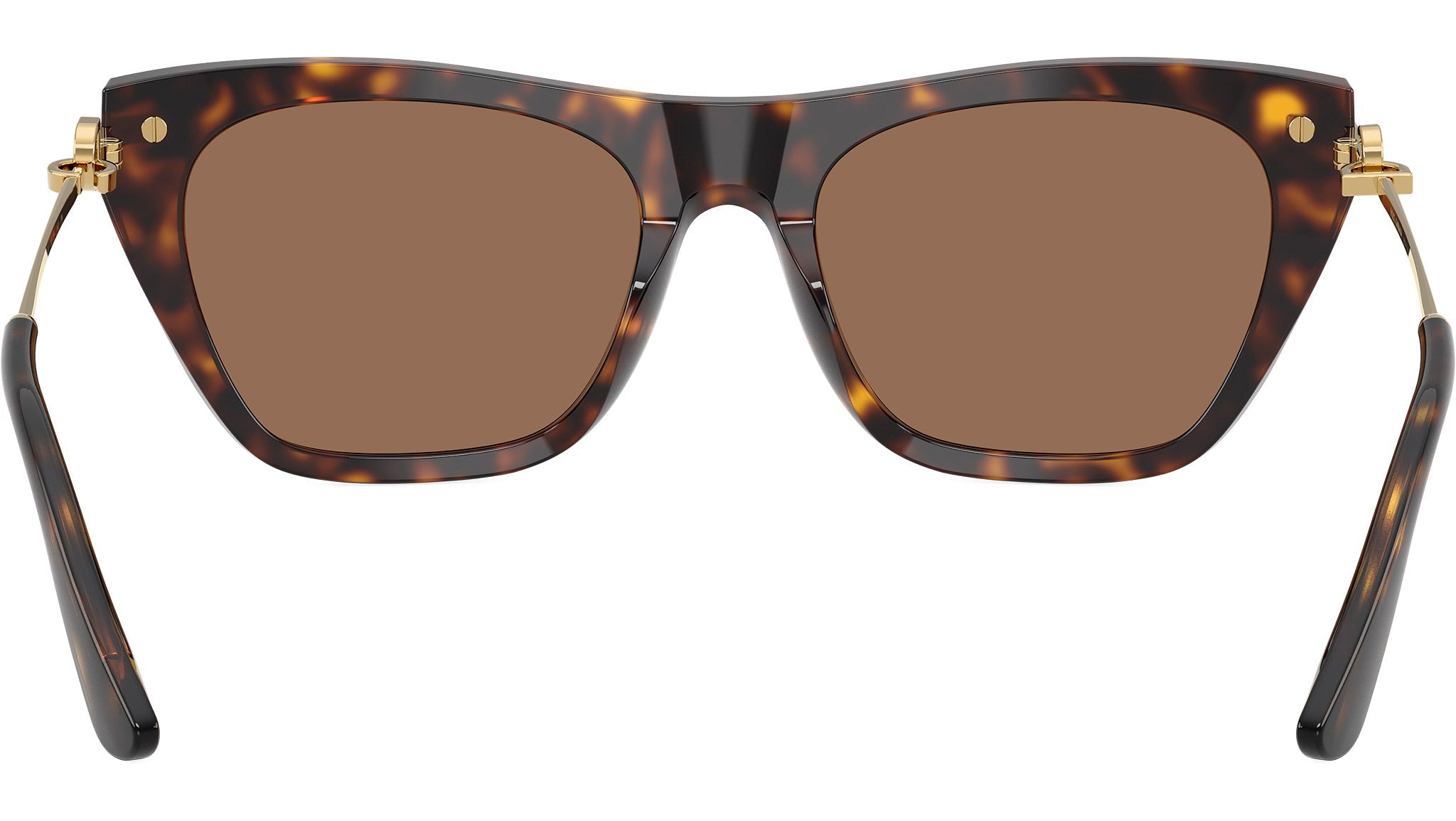 DG 4511 Dolce&Gabbana Havana/ Dark Brown