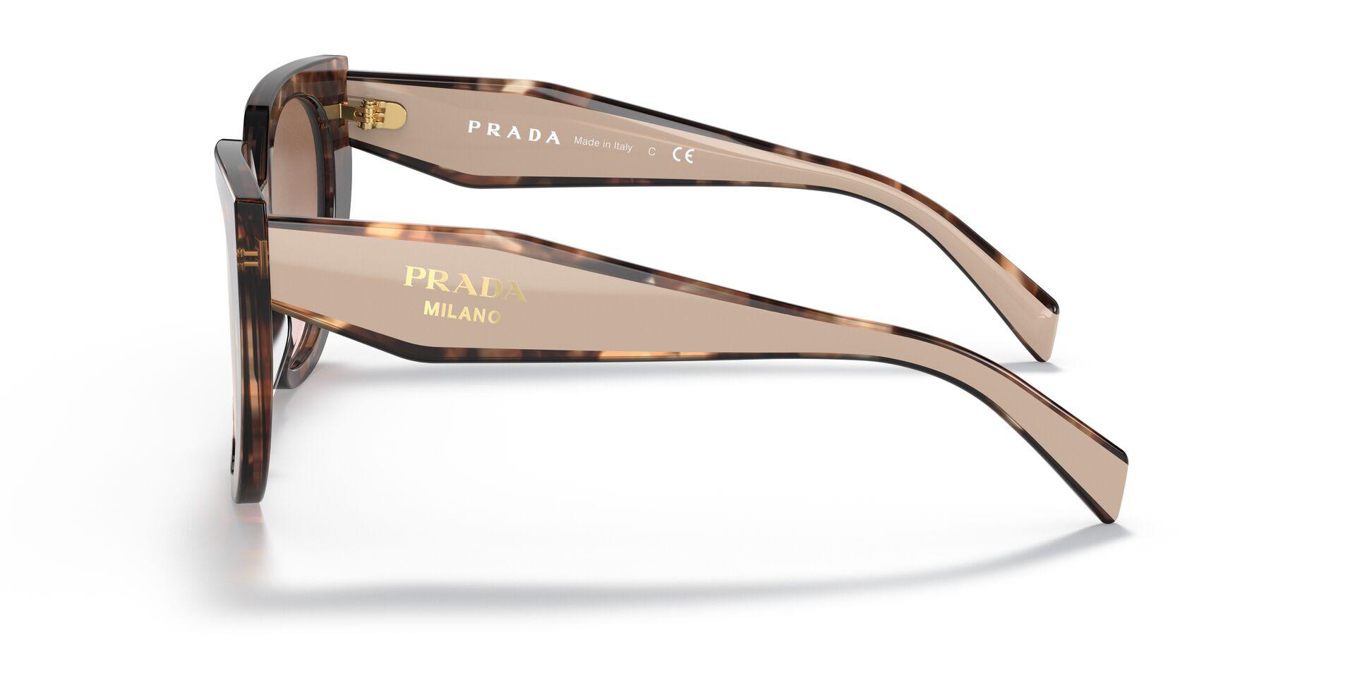 PR 14WS Tortoise/Brown Gradient M