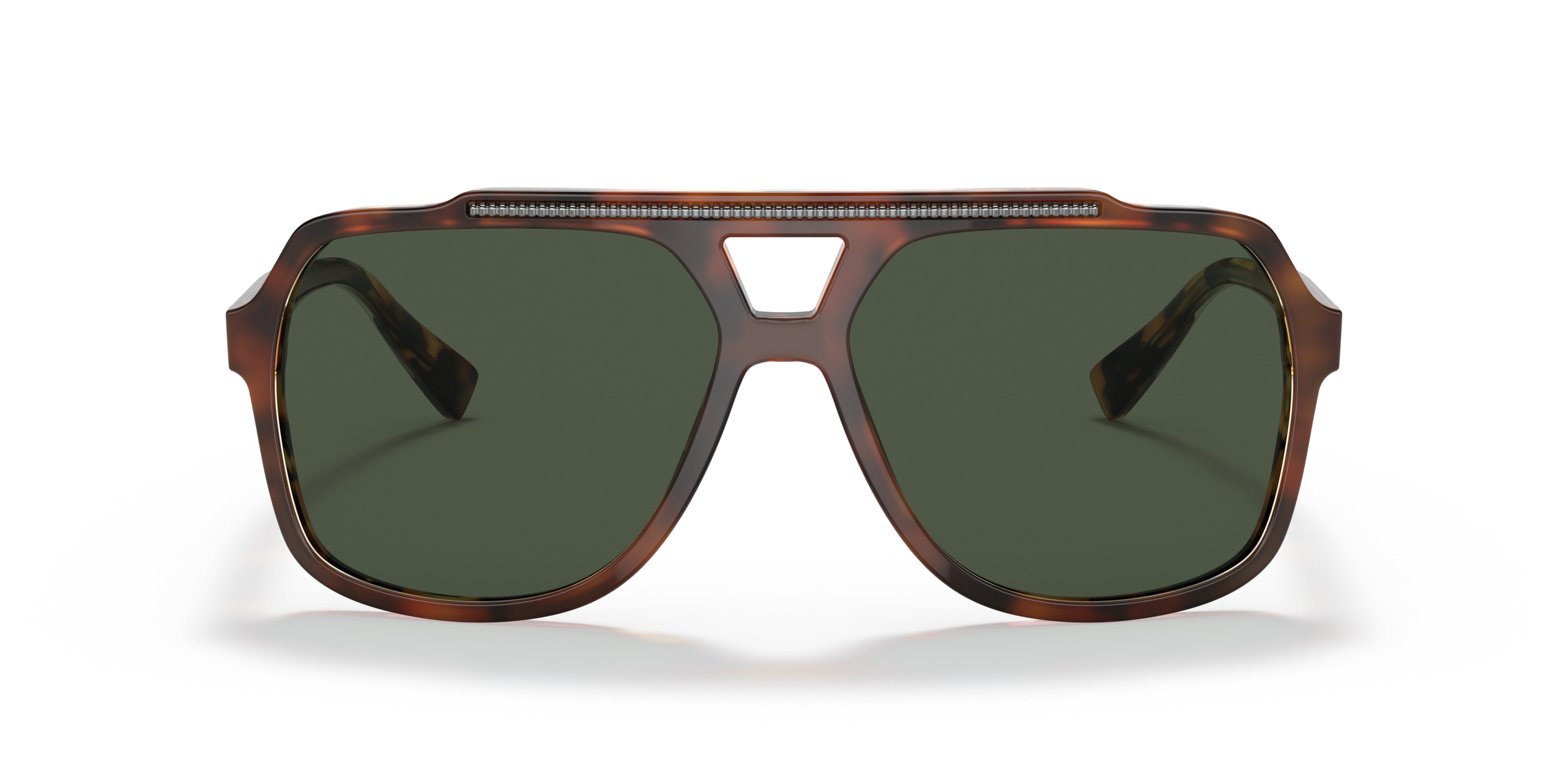 DG4388 Tortoise/Dark Green Polar/Polarized L