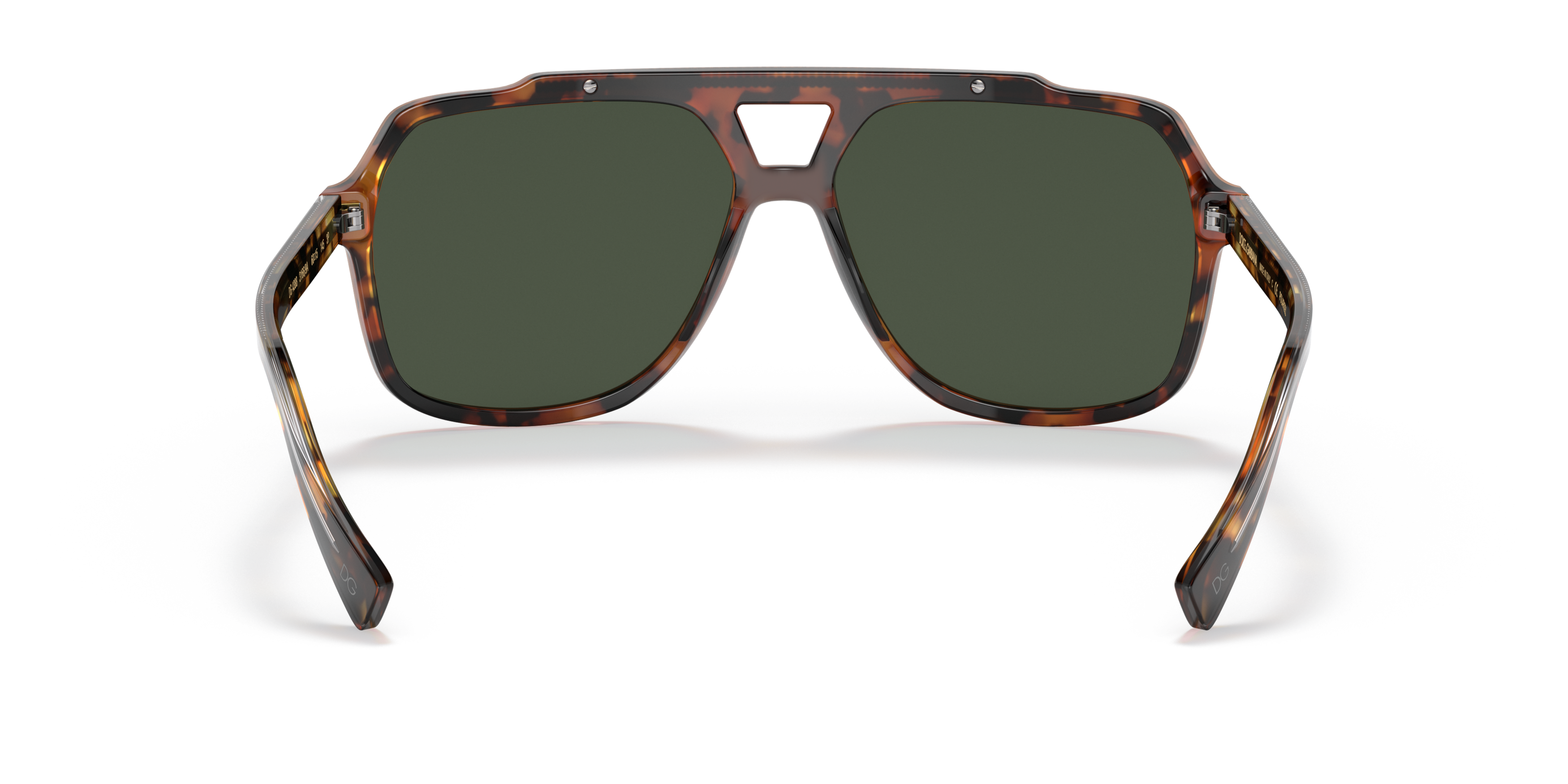 DG4388 Tortoise/Dark Green Polar/Polarized L