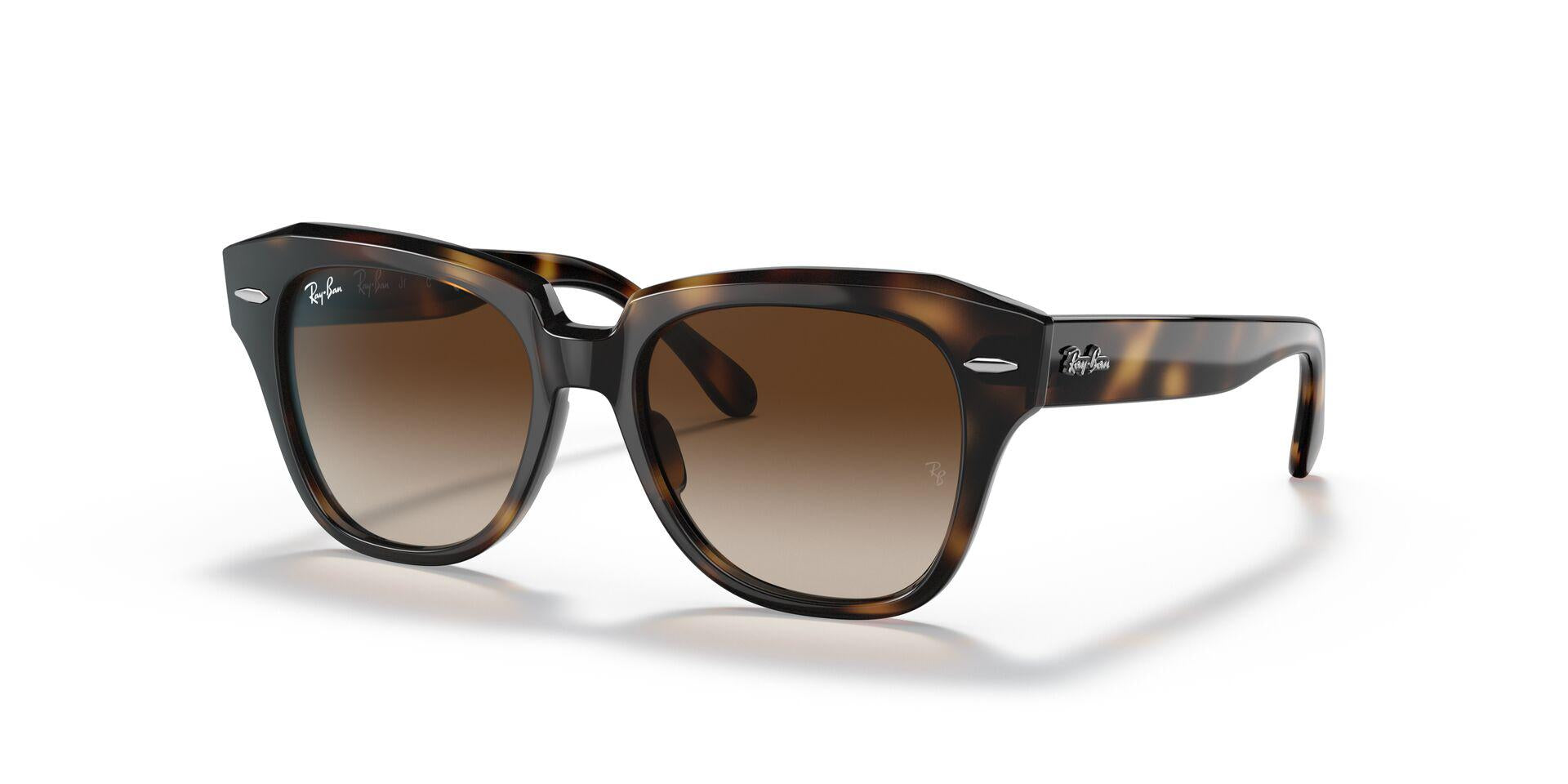 RB9186S Tortoise/Dark Brown Gradient M