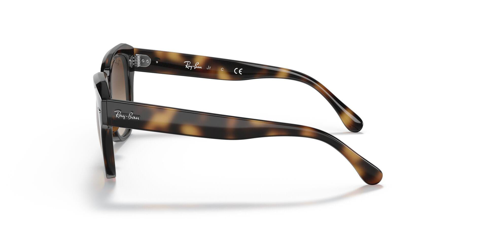 RB9186S Tortoise/Dark Brown Gradient M