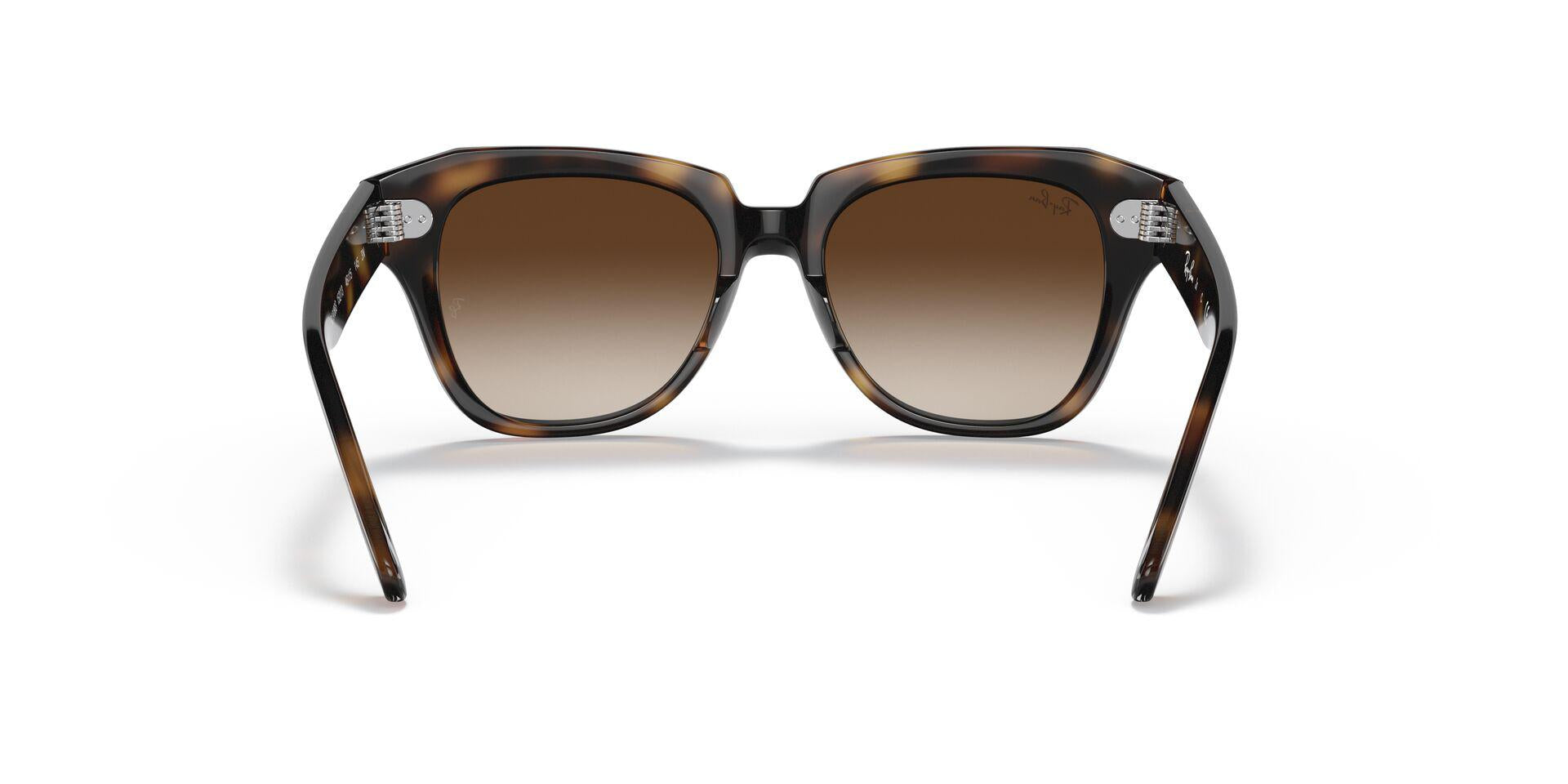 RB9186S Tortoise/Dark Brown Gradient M