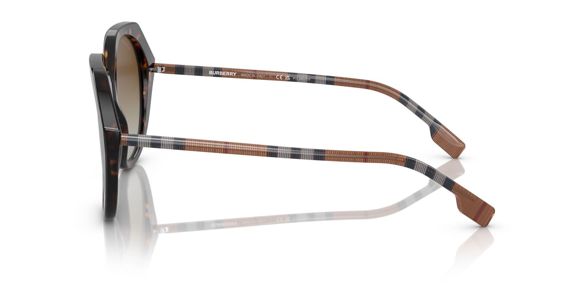 BE4375 Brown/Brown Polar/Polarized L