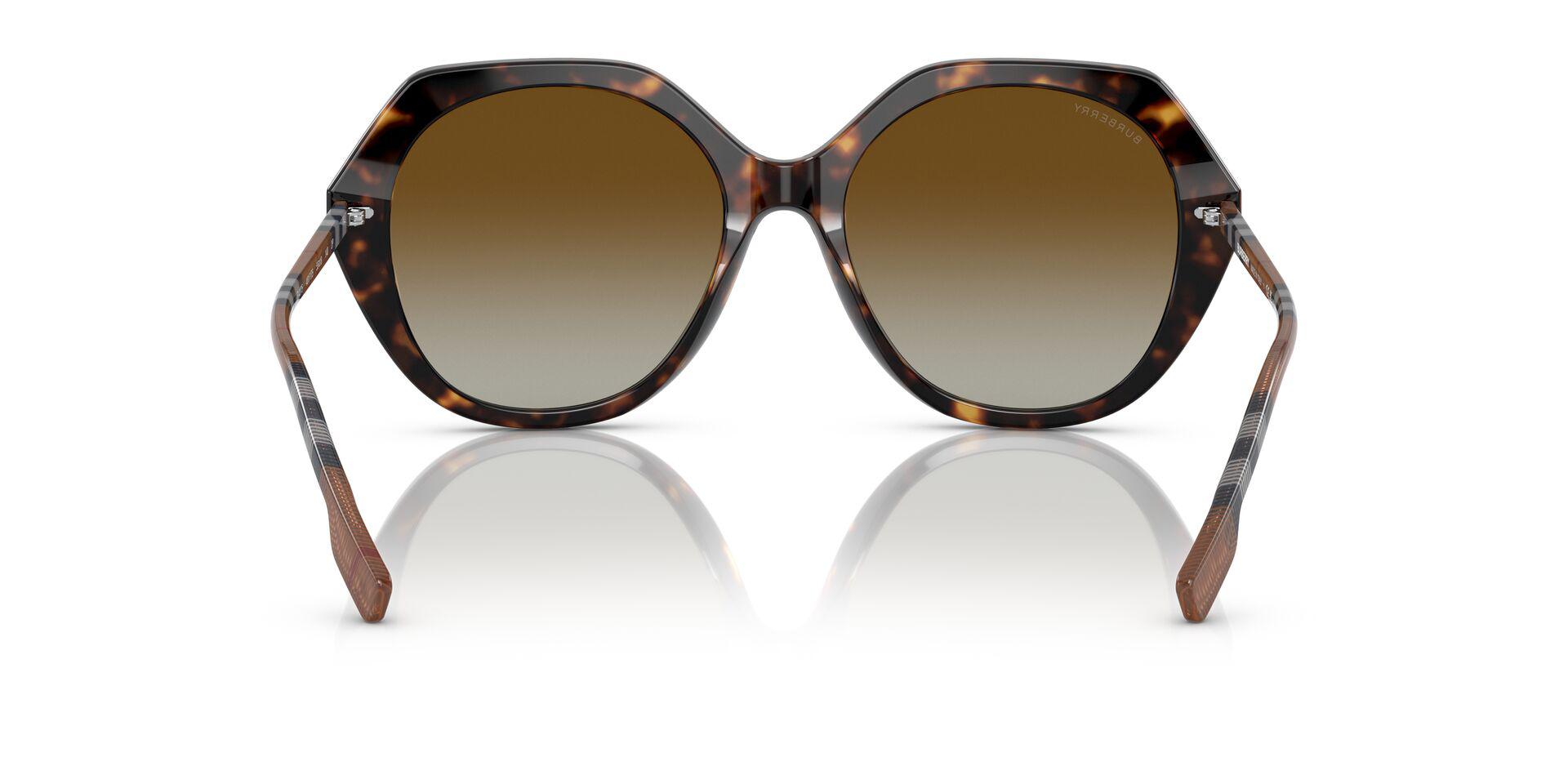 BE4375 Brown/Brown Polar/Polarized L