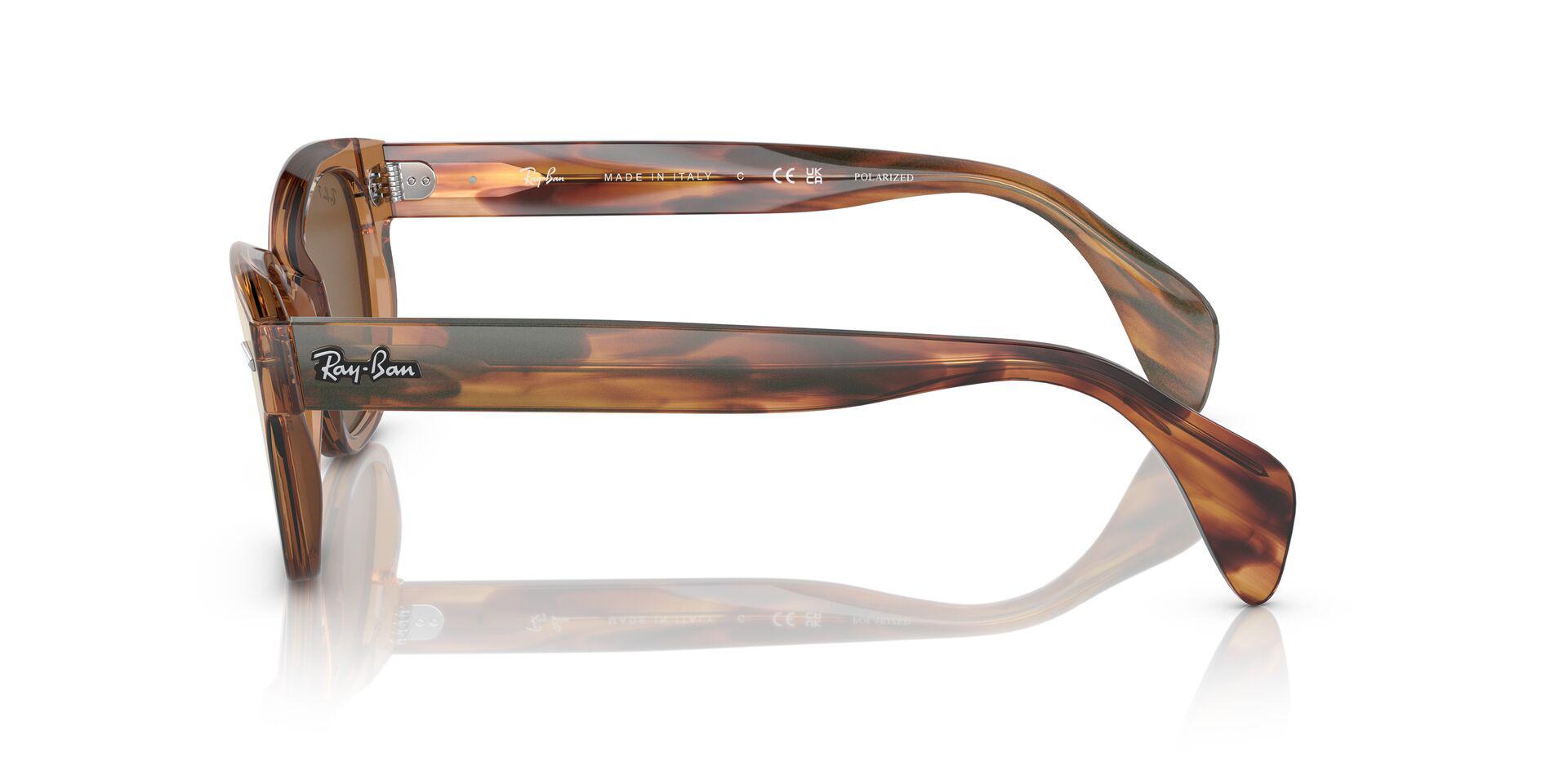 RB0880S Brown/Brown/Polarized L