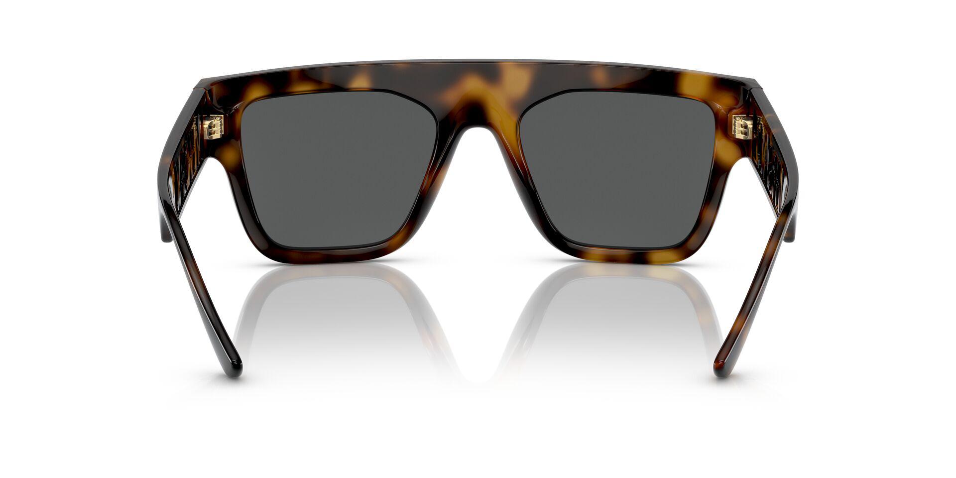 VE4430U Tortoise/Dark Grey L