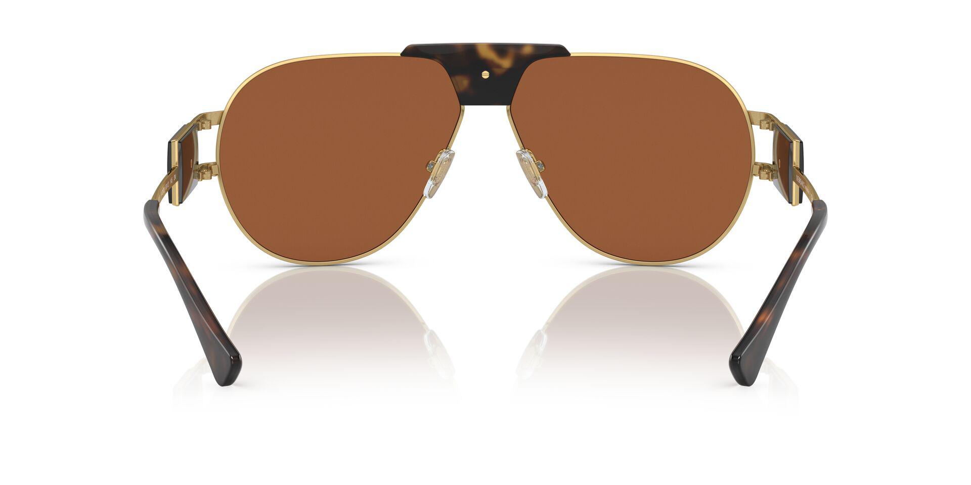 VE2252 Tortoise/Dark Brown XXL
